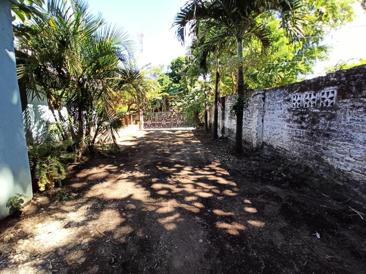 Ometepe House Bed & Breakfast Moyogalpa Exterior foto