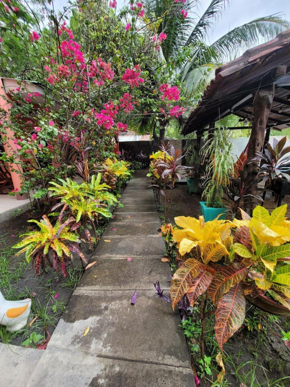 Ometepe House Bed & Breakfast Moyogalpa Exterior foto